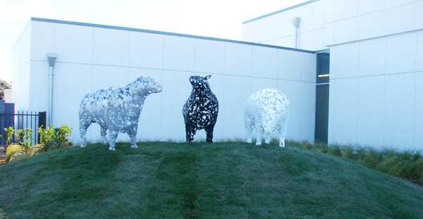 Sheep sculpture at Auckland airport