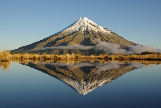 NZ herald photo winner